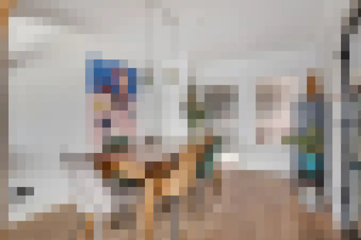 Asterstraat 31 Wierden thumbnail 5