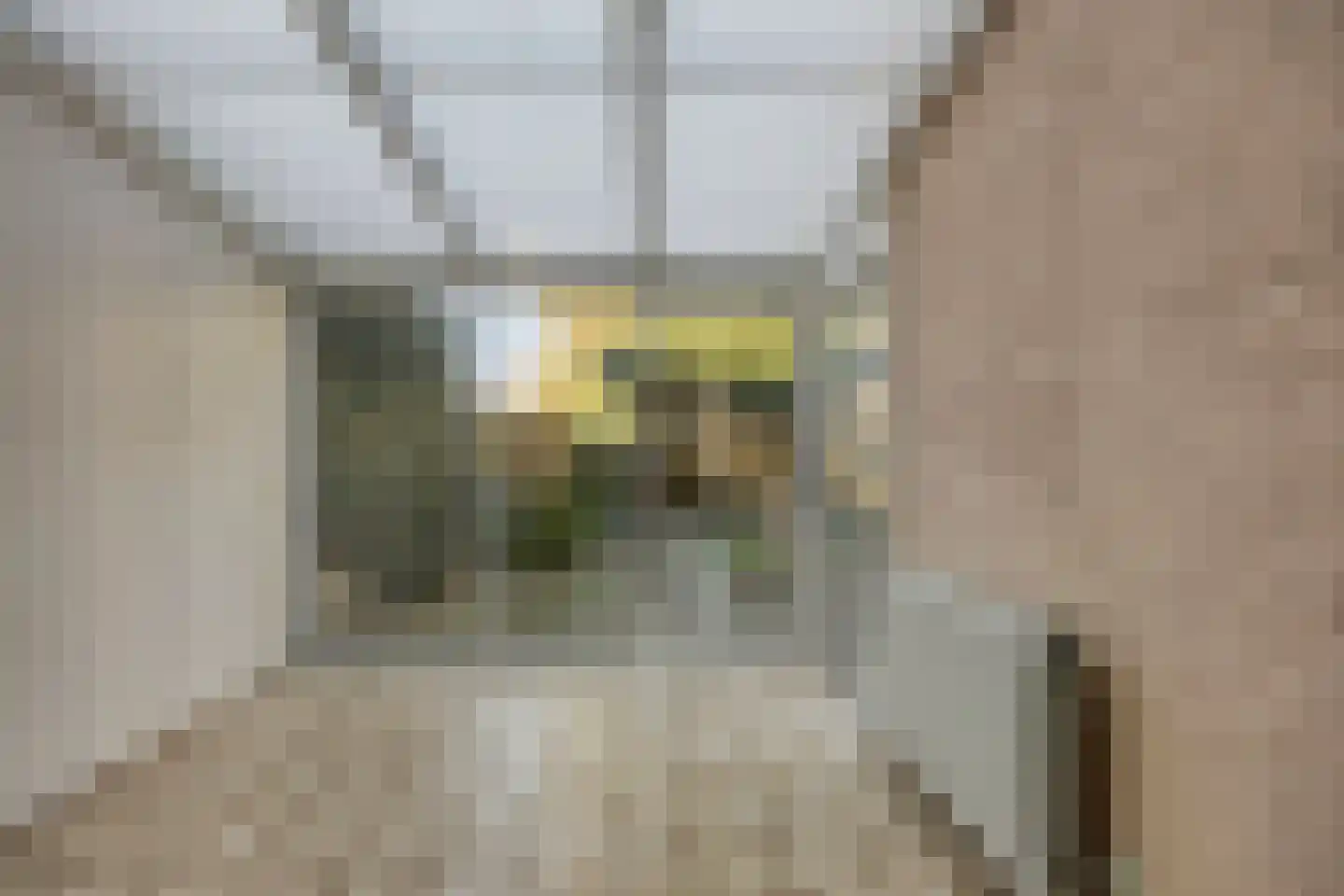 Asterstraat 33 Asten thumbnail 12