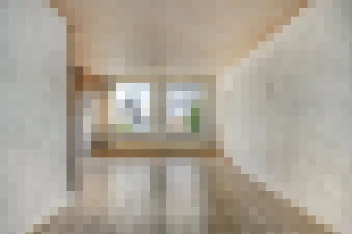 Asterstraat 33 Asten thumbnail 14