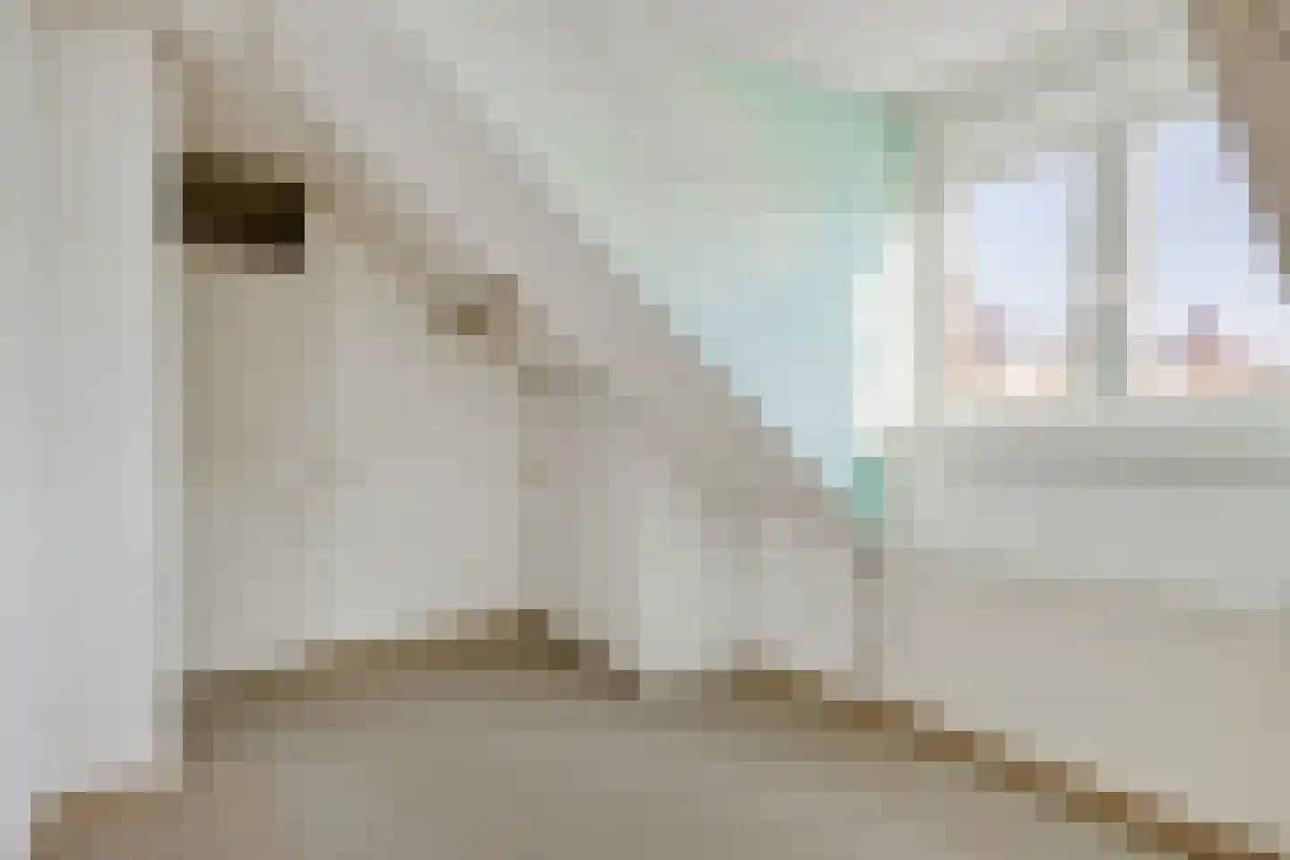 Asterstraat 33 Asten thumbnail 29