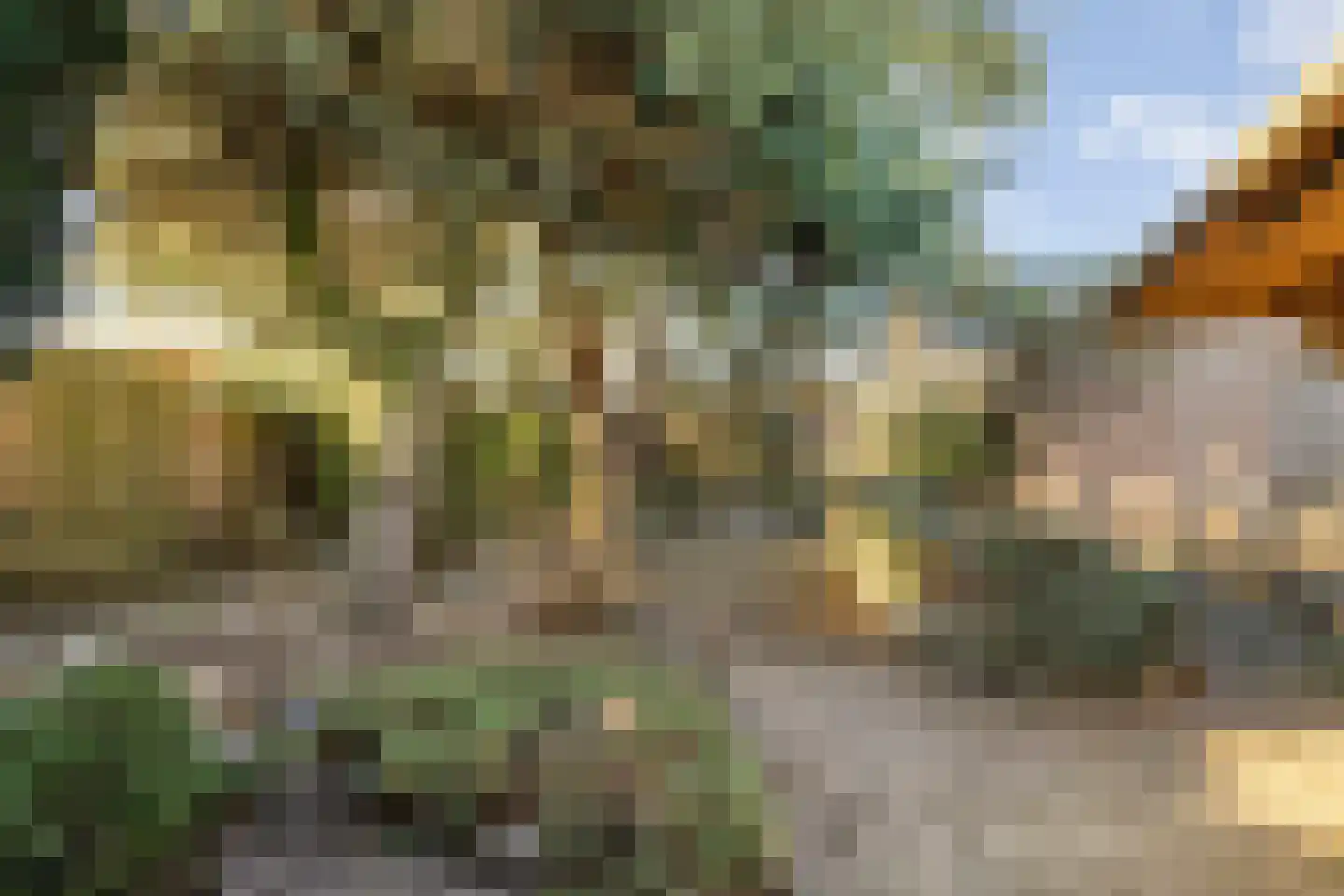 Asterstraat 33 Asten thumbnail 5