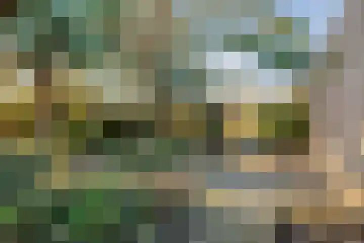 Asterstraat 33 Asten thumbnail 6