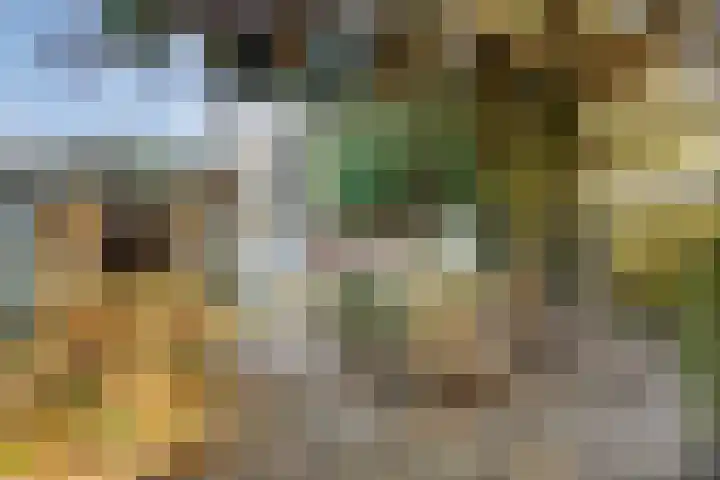 Asterstraat 33 Asten thumbnail 8