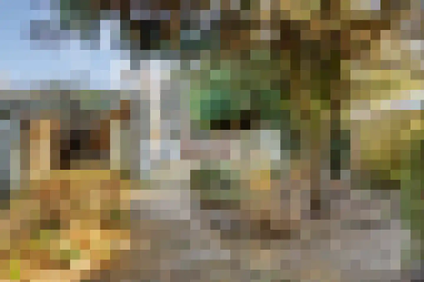 Asterstraat 33 Asten thumbnail 8