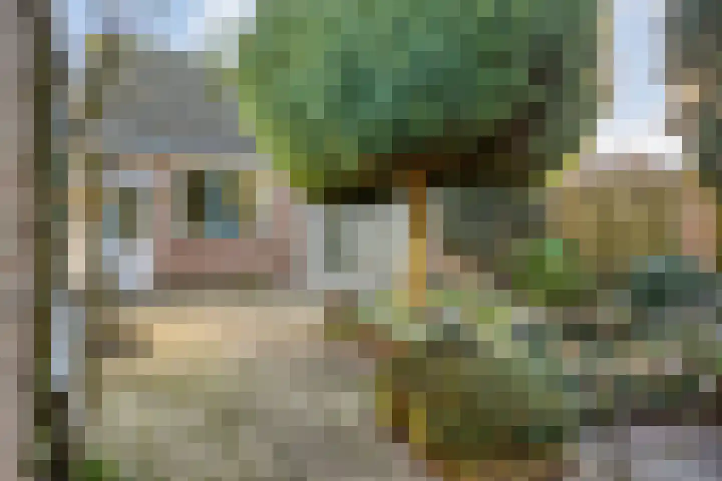 Asterstraat 33 Asten thumbnail 9