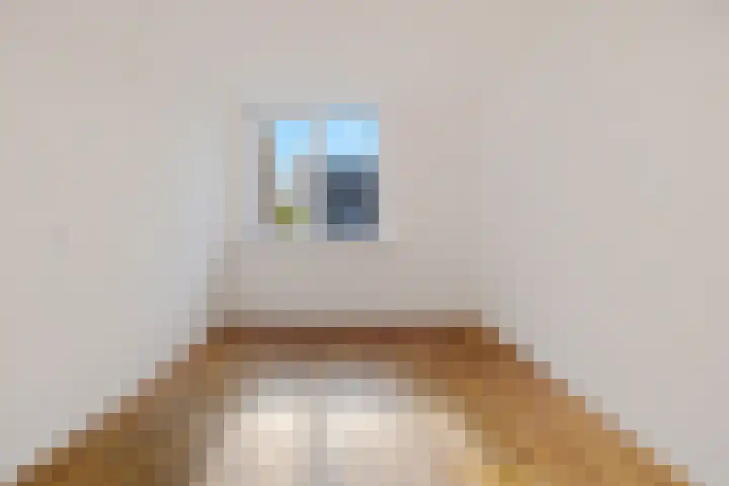 Asterstraat 37 Bergen op Zoom thumbnail 33