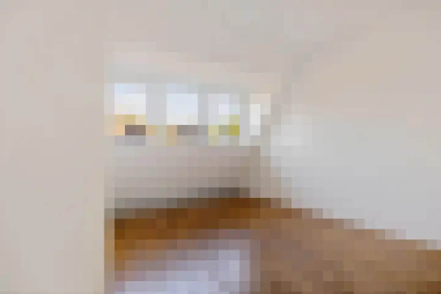 Asterstraat 37 Bergen op Zoom thumbnail 39