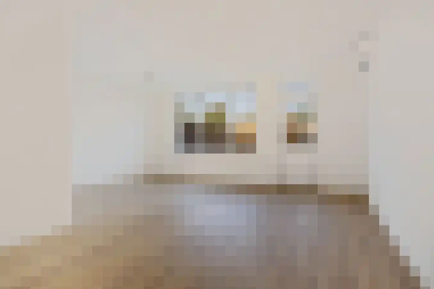 Asterstraat 37 Bergen op Zoom thumbnail 8