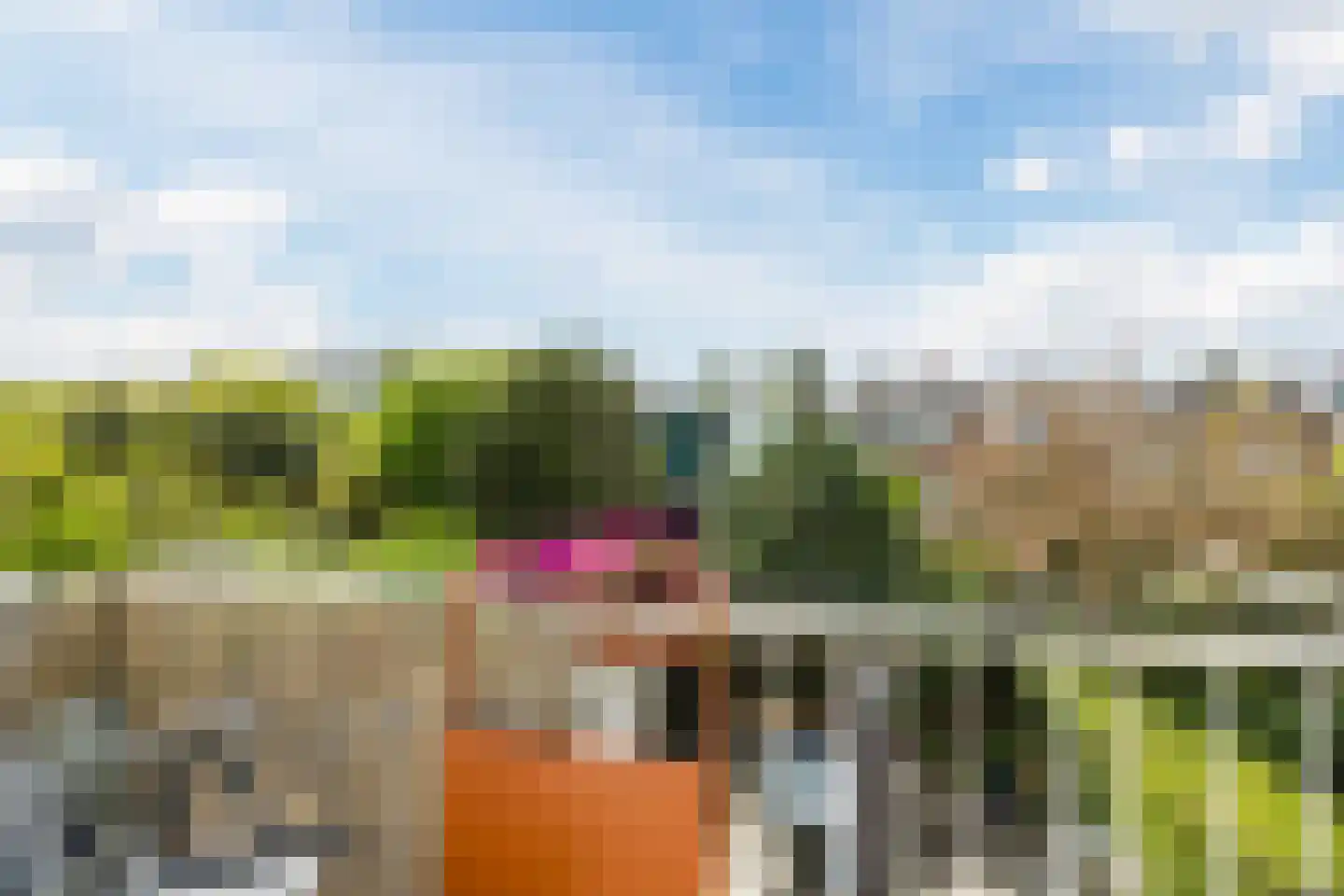 Asterstraat 38 Den Haag thumbnail 22