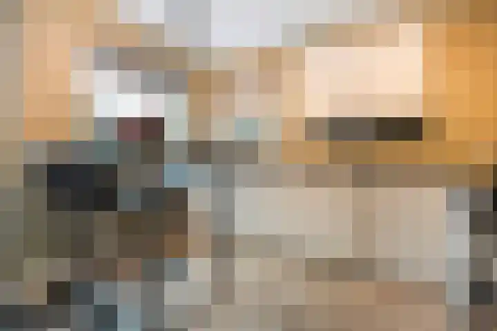 Asterstraat 4 Wierden thumbnail 12