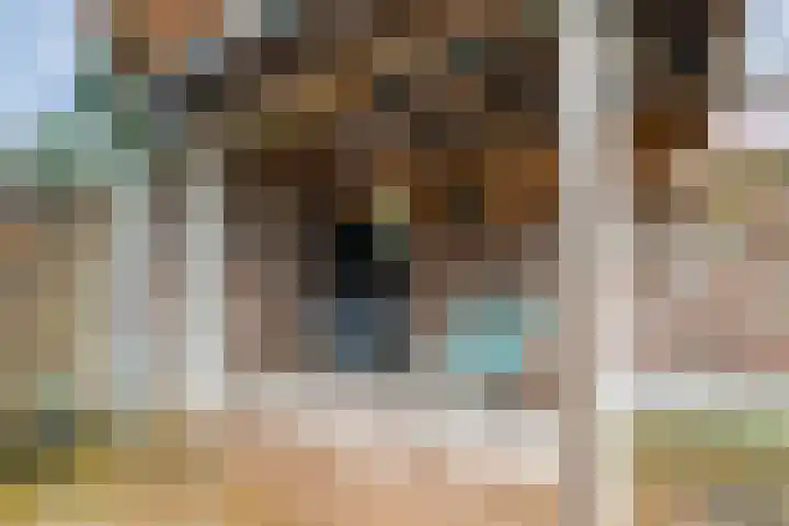 Asterstraat 4 Wierden thumbnail 31