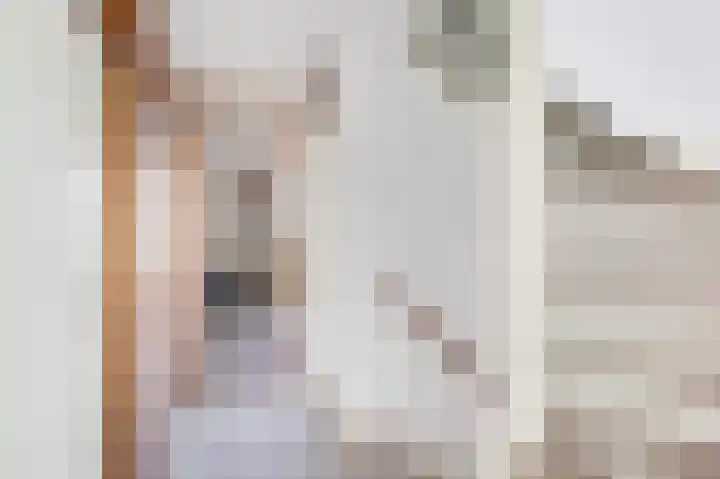 Asterstraat 4 Wierden thumbnail 5