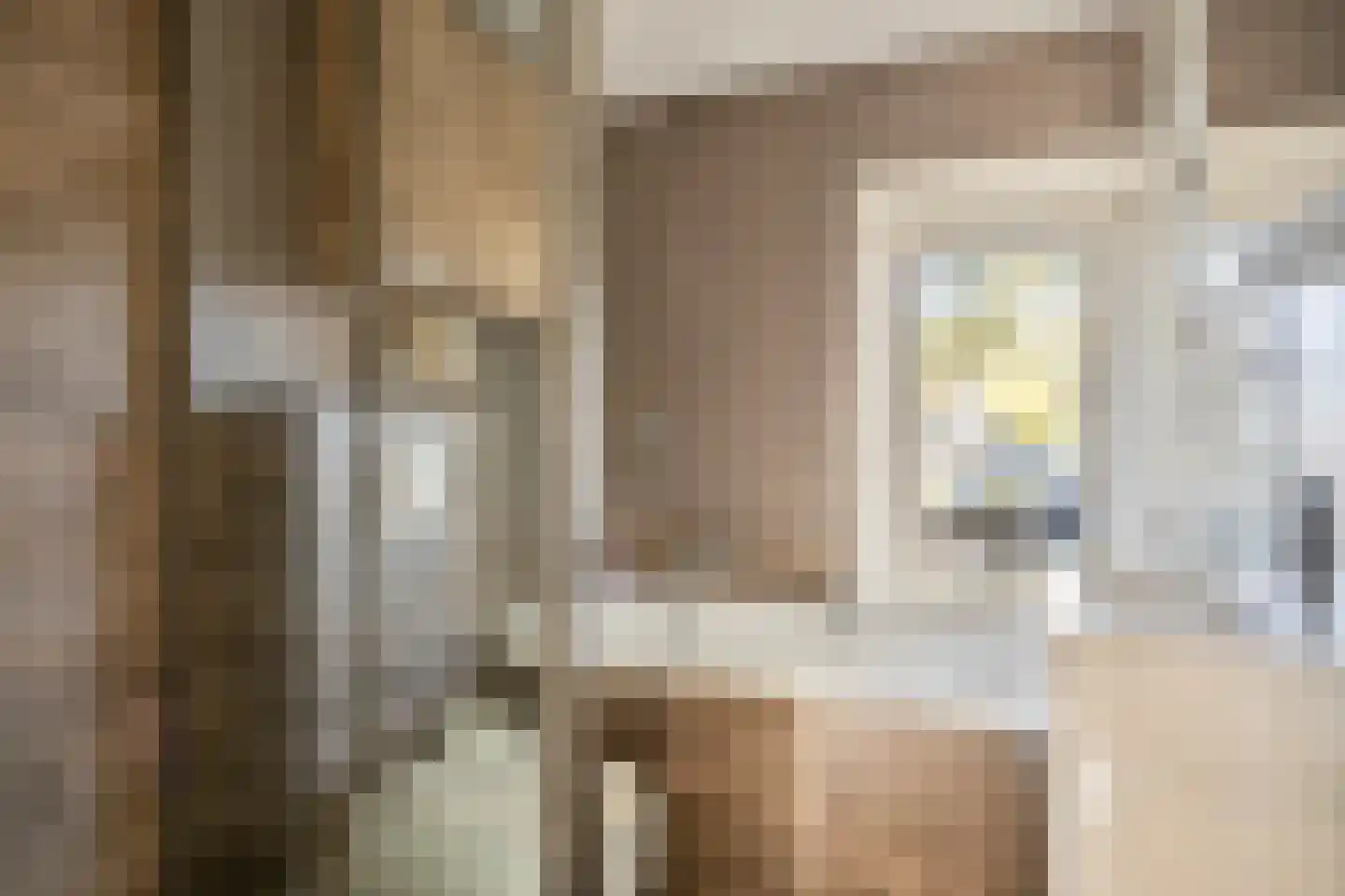 Asterstraat 45 Oss thumbnail 11