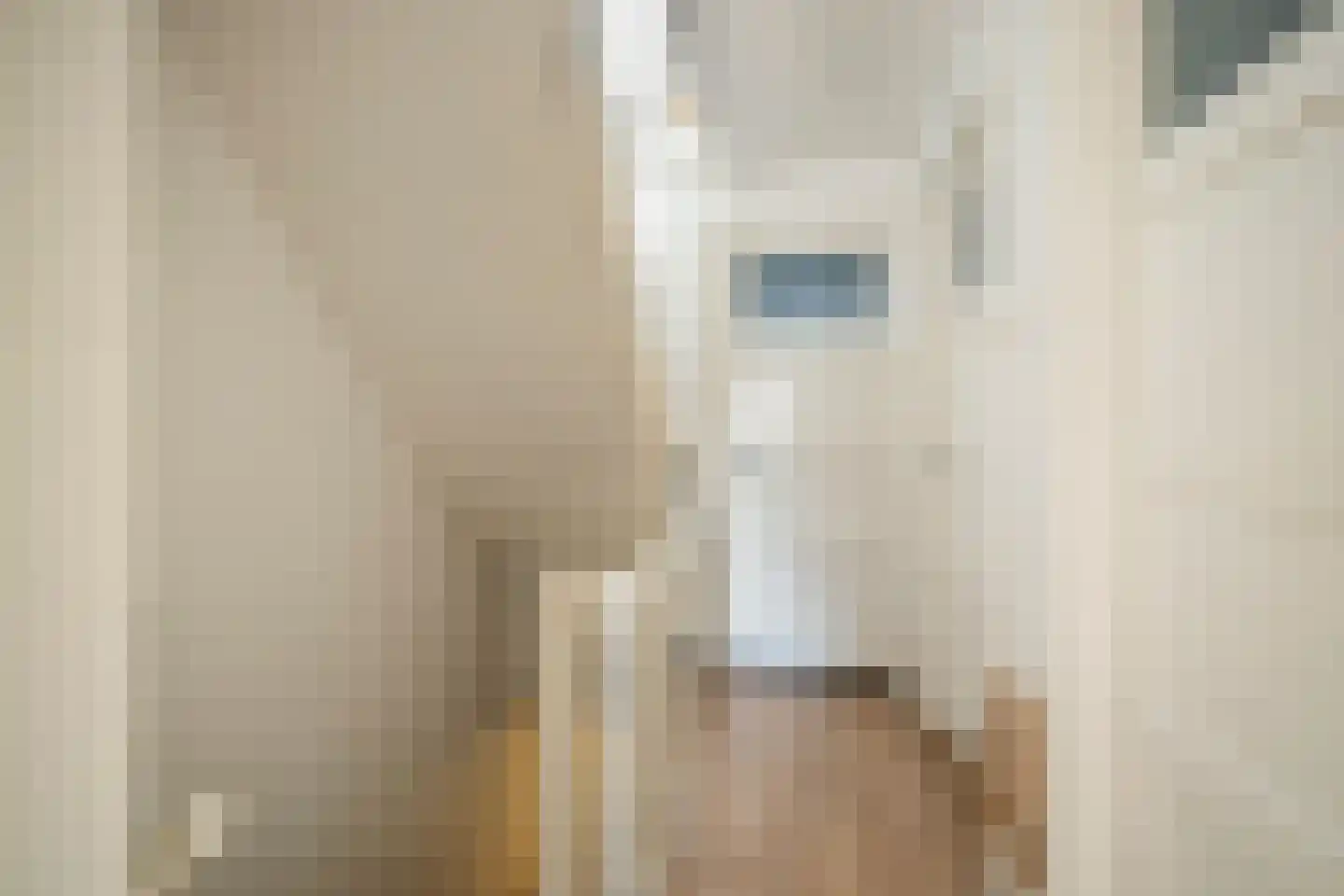 Asterstraat 45 Oss thumbnail 15