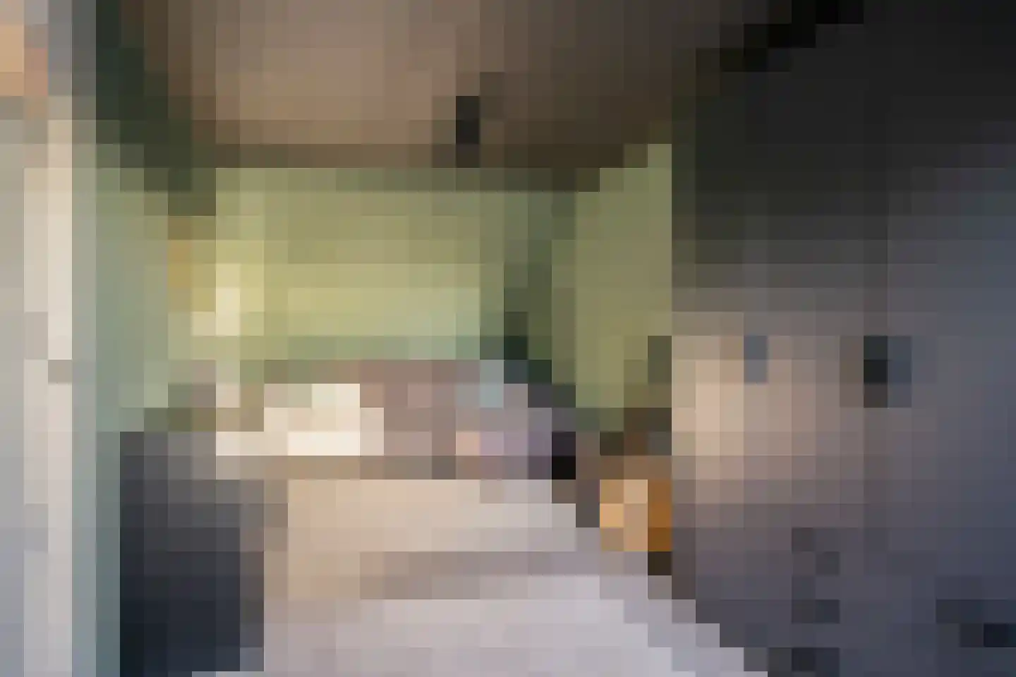 Asterstraat 45 Oss thumbnail 18