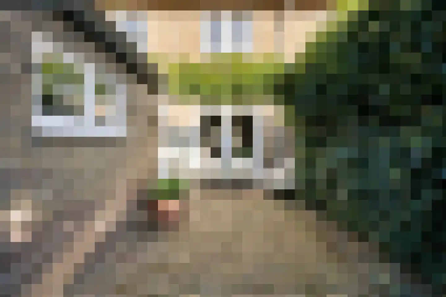 Asterstraat 45 Oss thumbnail 19