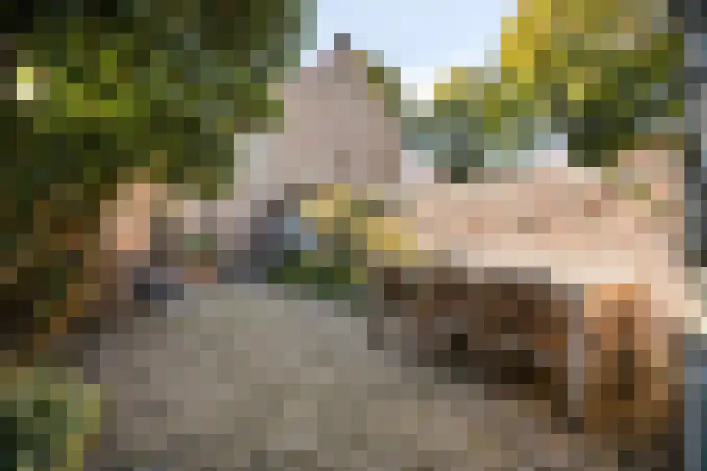 Asterstraat 45 Oss thumbnail 20