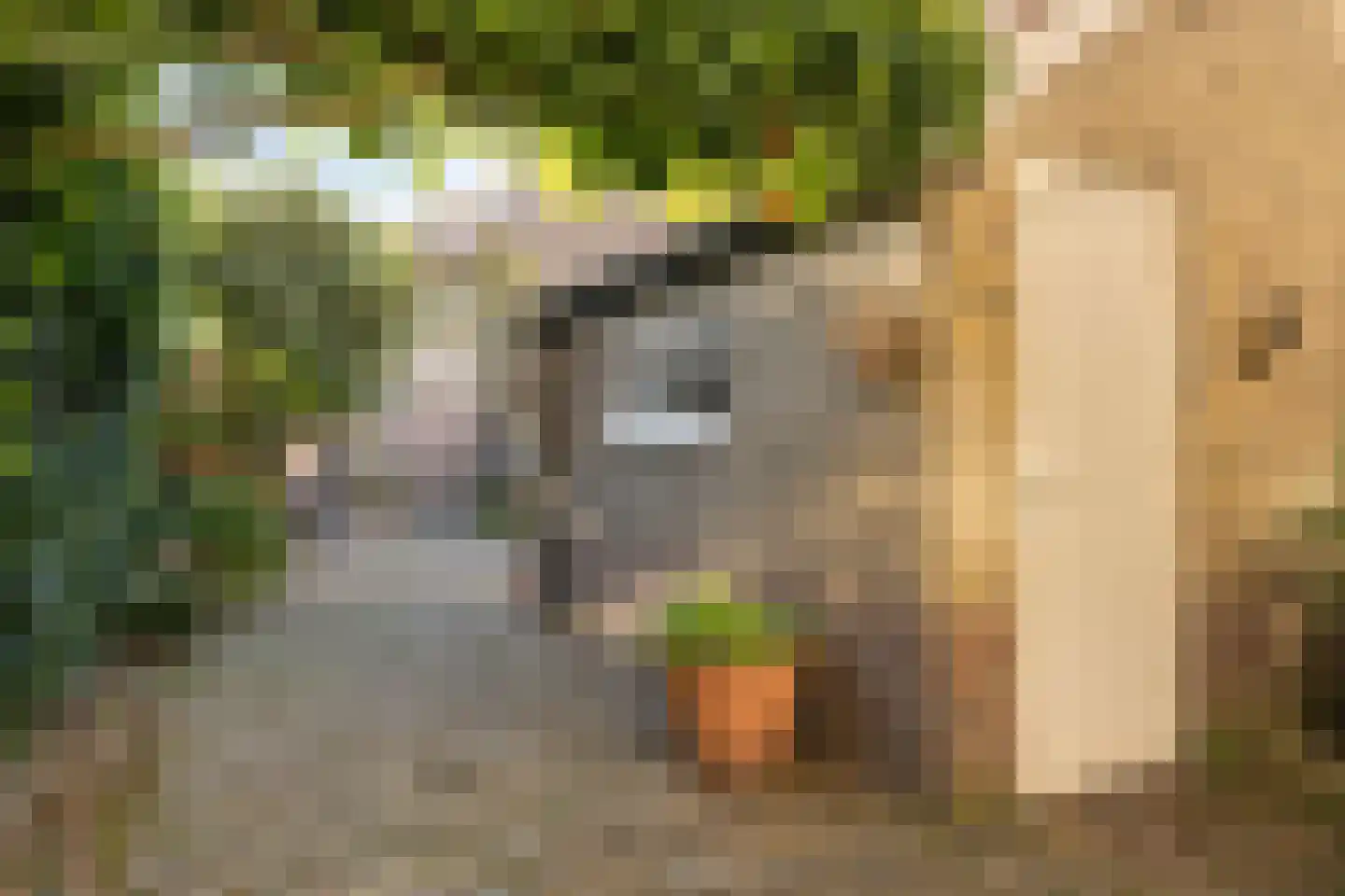 Asterstraat 45 Oss thumbnail 22