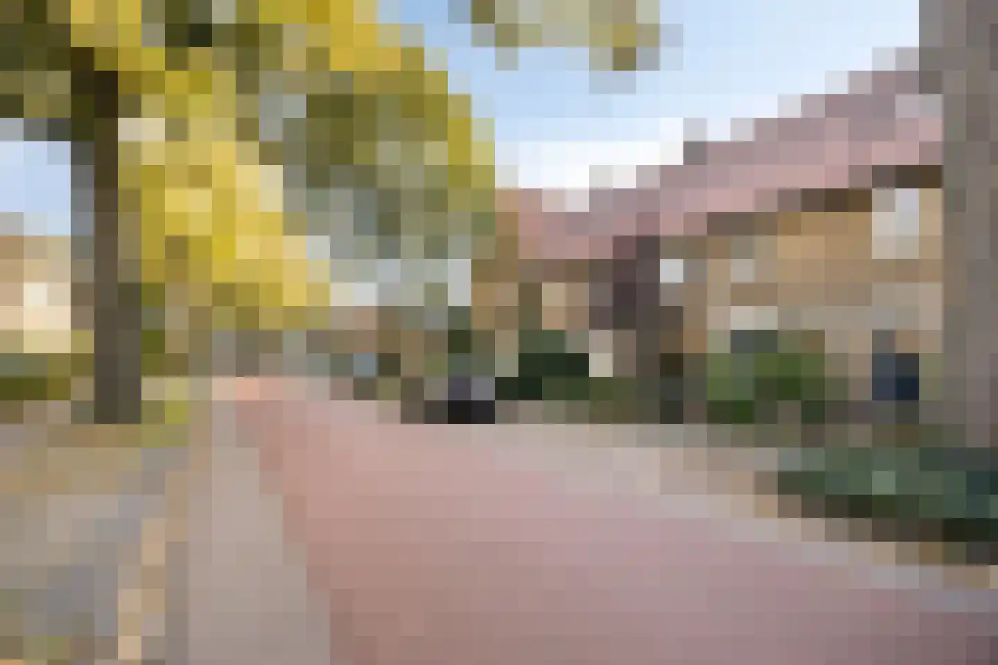 Asterstraat 45 Oss thumbnail 25