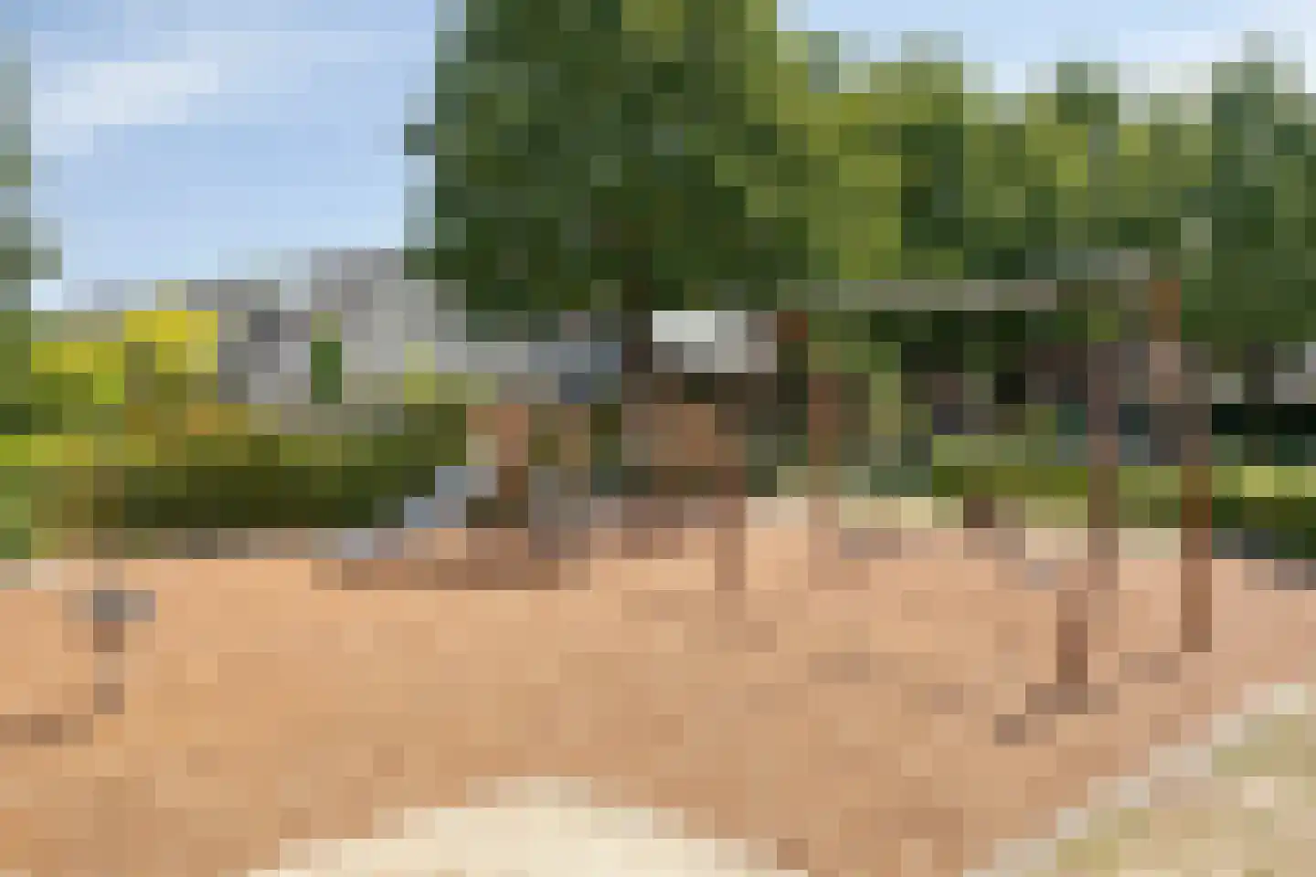 Asterstraat 45 Oss thumbnail 28