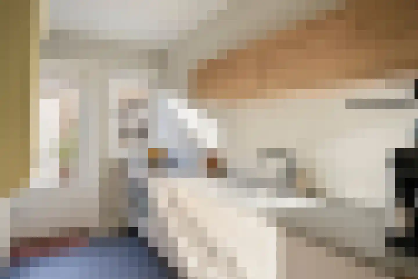 Asterstraat 45 Oss thumbnail 7
