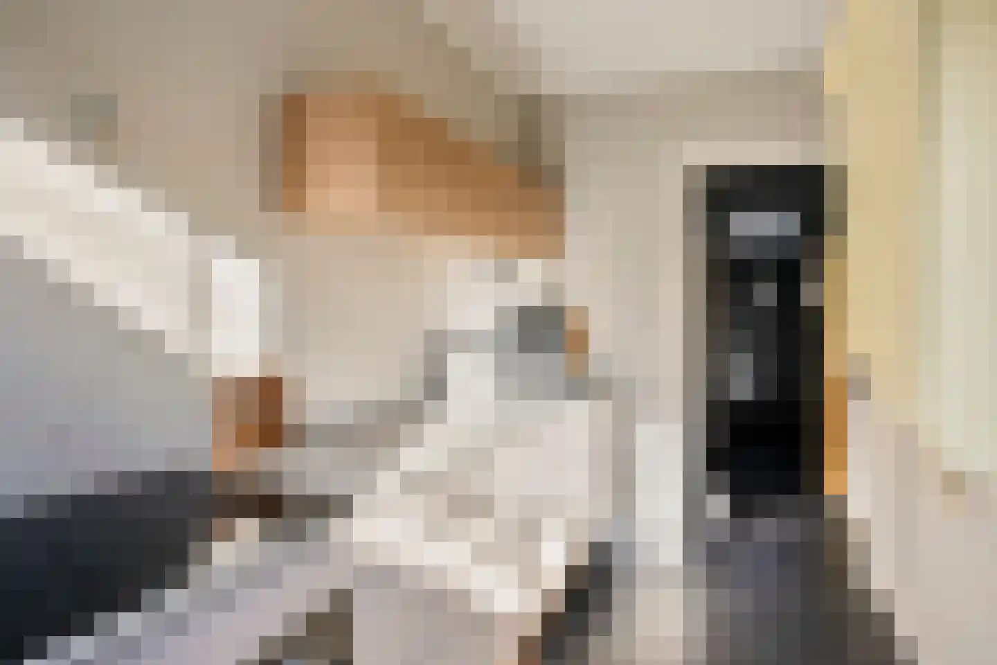Asterstraat 45 Oss thumbnail 8