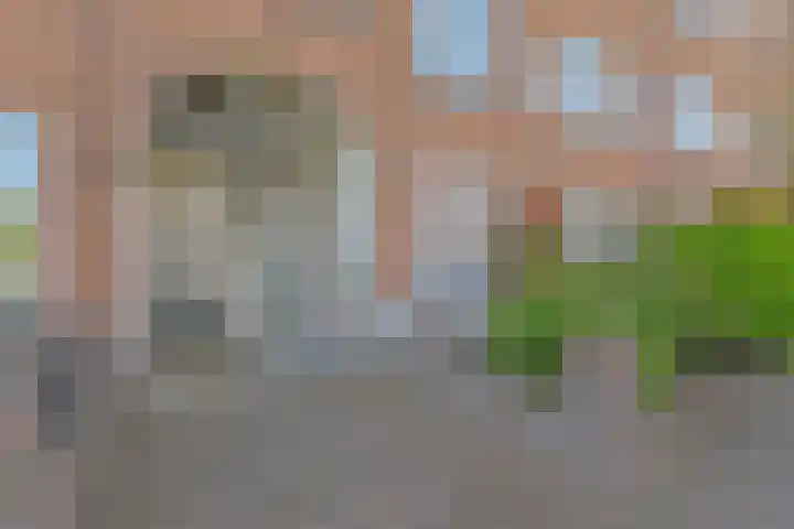 Asterstraat 46 Den Haag thumbnail 27