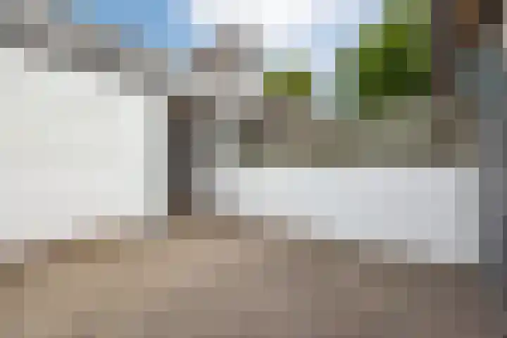 Asterstraat 48 Bergen op Zoom thumbnail 30