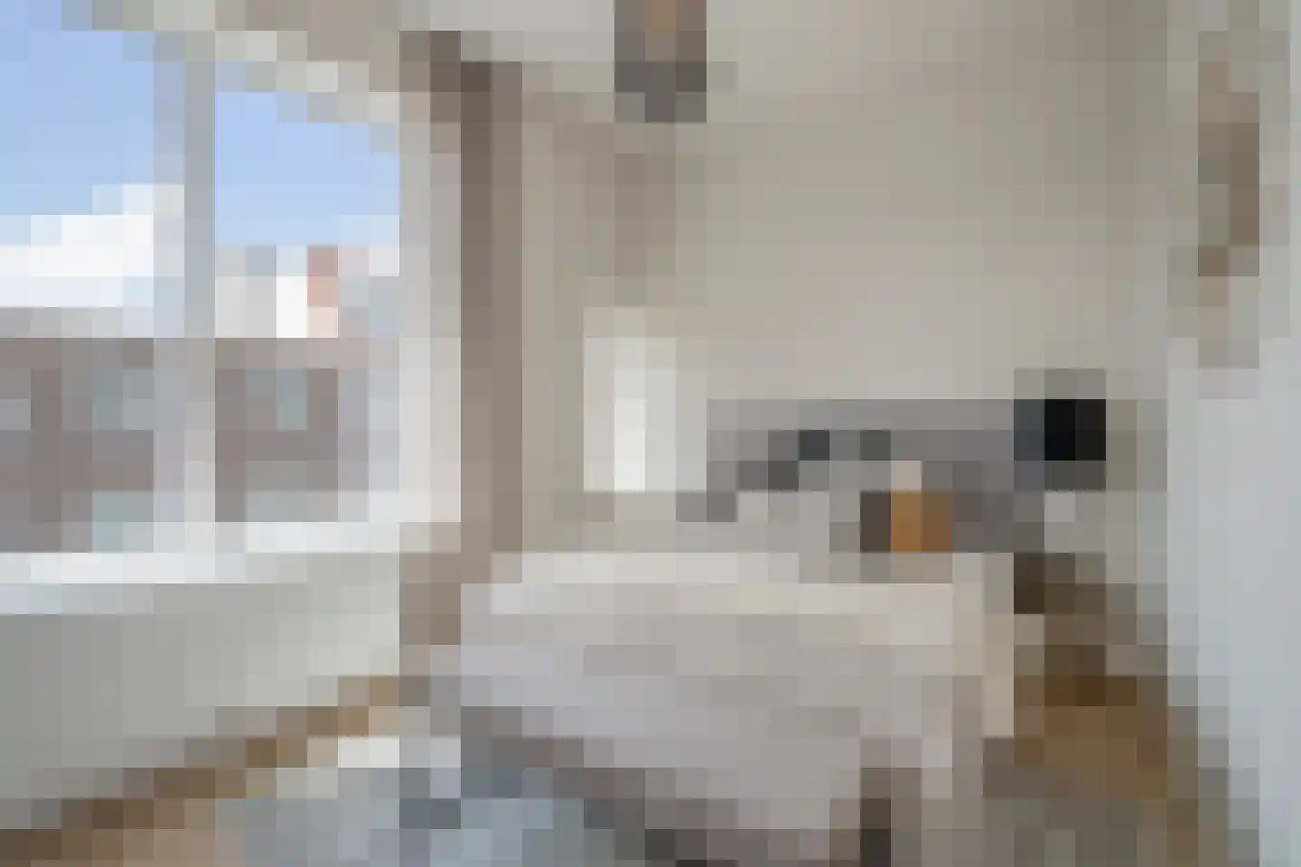 Asterstraat 53 Den Haag thumbnail 20