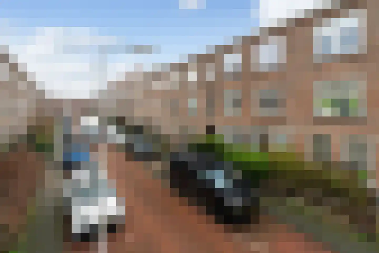 Asterstraat 53 Den Haag thumbnail 24