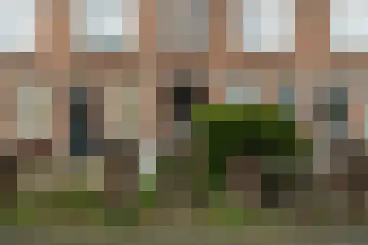 Asterstraat 53 Den Haag thumbnail 25