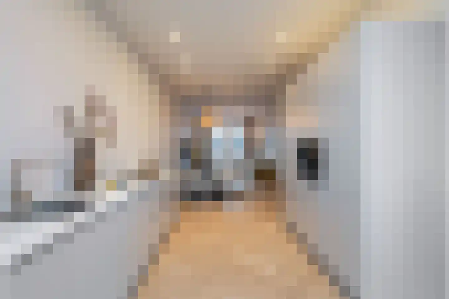 Asterstraat 53 Den Haag thumbnail 6