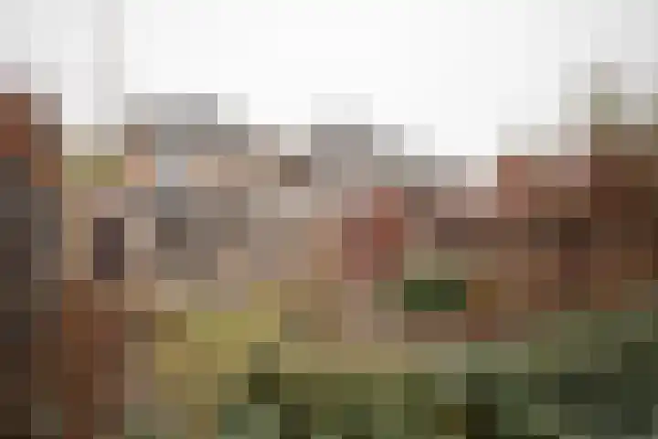 Asterstraat 6 Almelo thumbnail 53