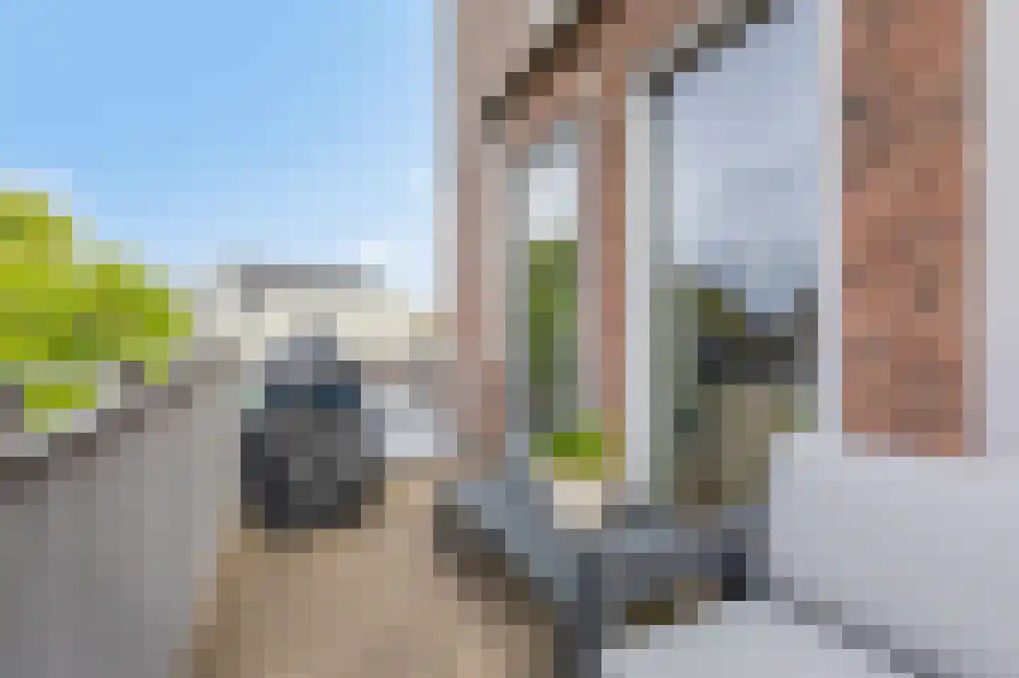 Asterstraat 6 Doetinchem thumbnail 30