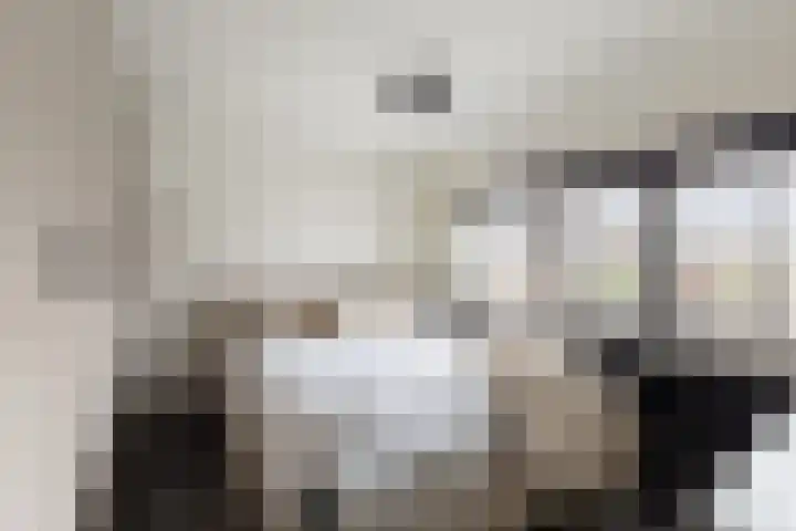 Asterstraat 6 Purmerend thumbnail 29