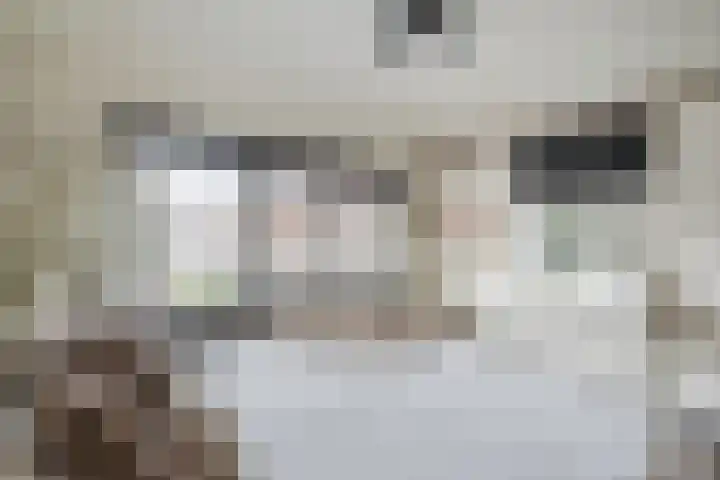 Asterstraat 6 Purmerend thumbnail 31