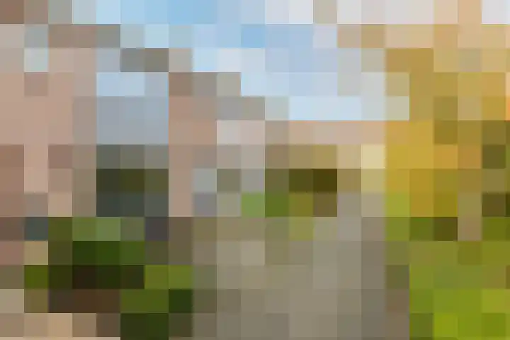 Asterstraat 6 Purmerend thumbnail 41