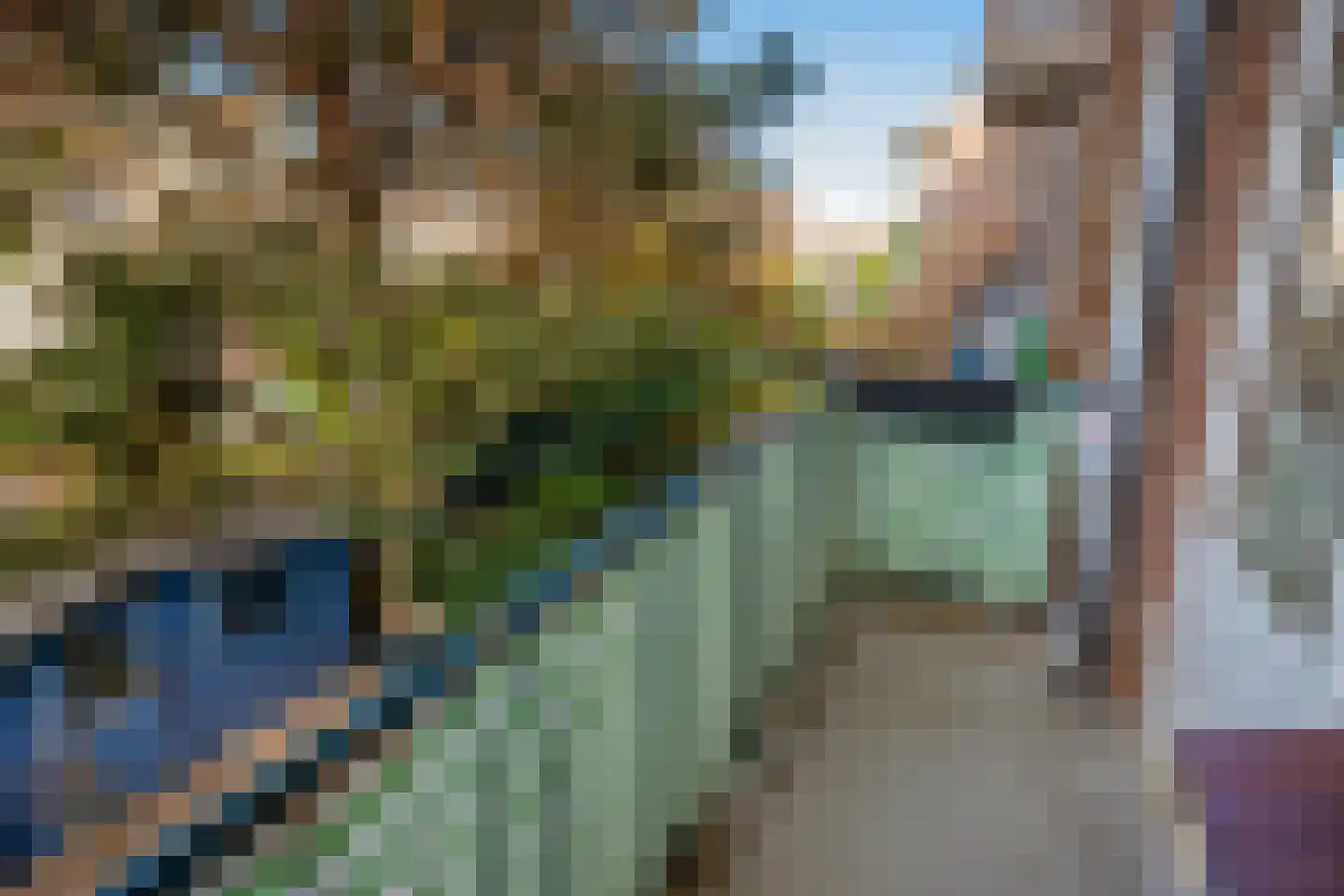 Asterstraat 62 Den Haag thumbnail 15