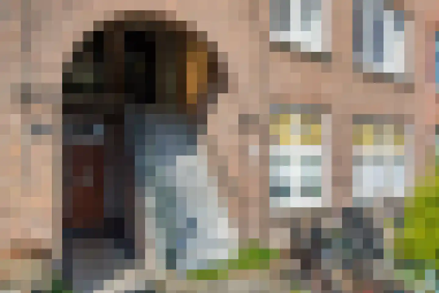 Asterstraat 62 Den Haag thumbnail 6