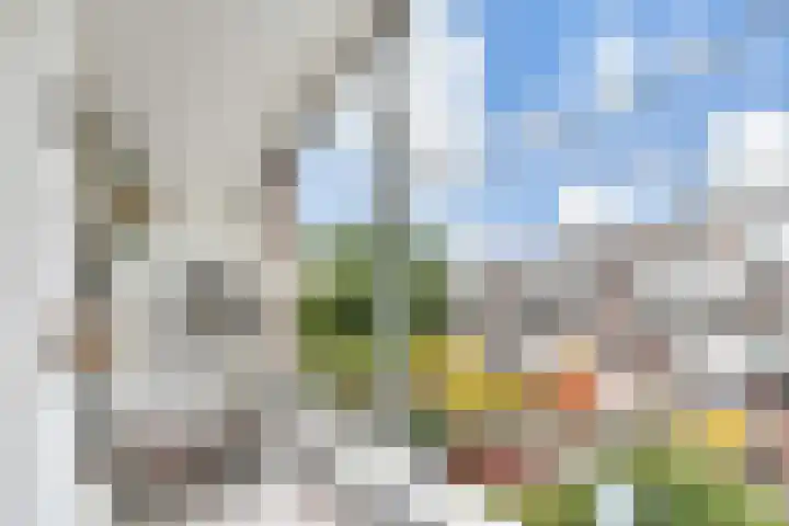 Asterstraat 69 Den Haag thumbnail 4