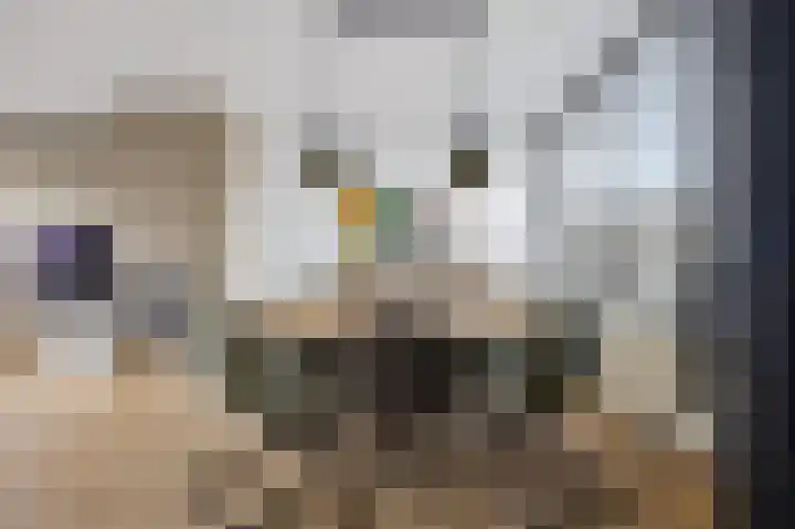 Asterstraat 8 Made thumbnail 14