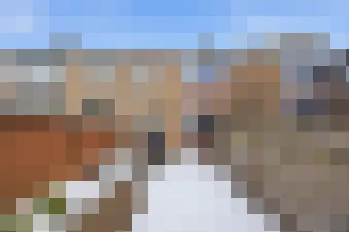 Asterstraat 8 Made thumbnail 35
