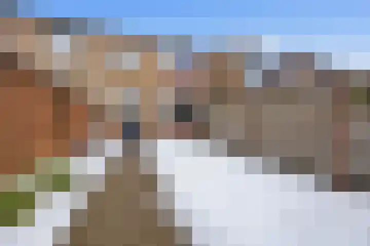 Asterstraat 8 Made thumbnail 36