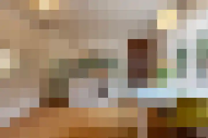 Asterstraat 8 Oss thumbnail 10