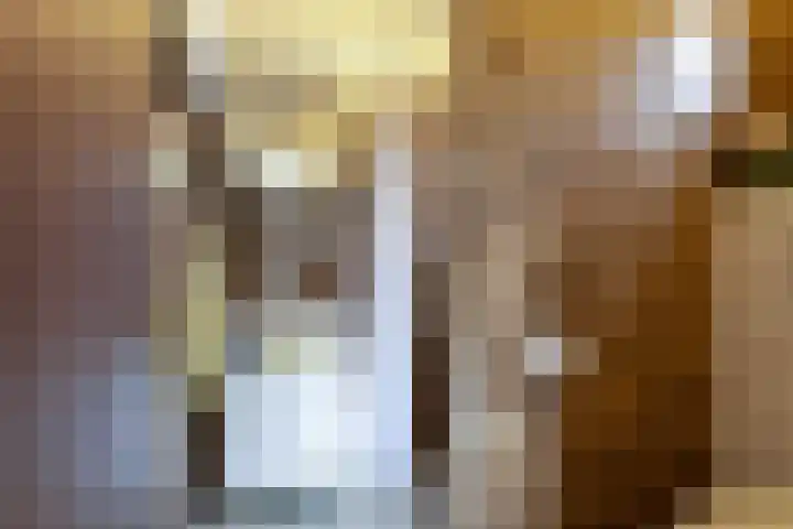 Asterstraat 8 Oss thumbnail 16