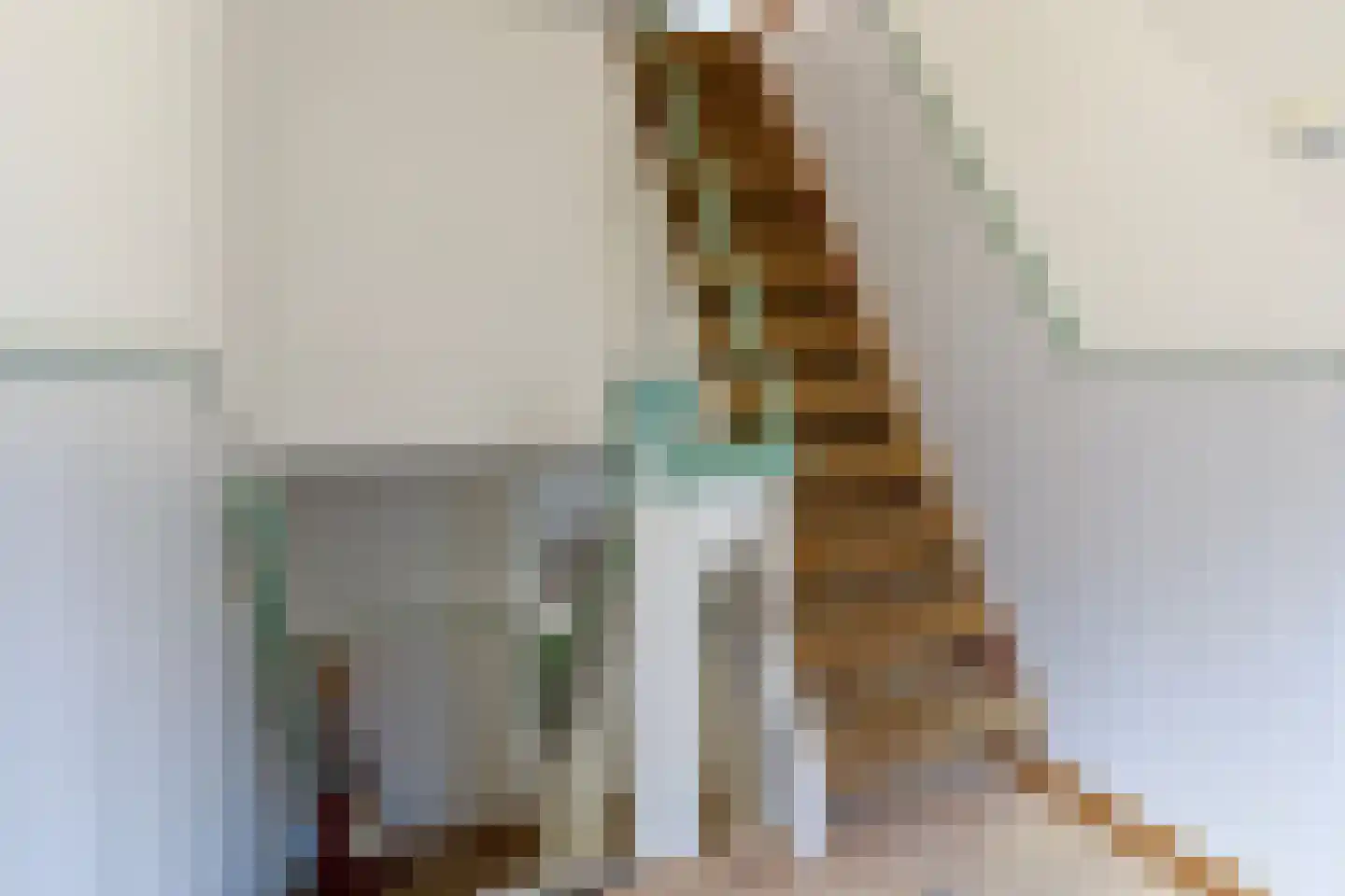 Asterstraat 8 Oss thumbnail 18
