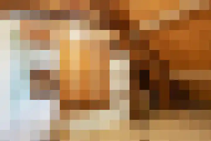 Asterstraat 8 Oss thumbnail 22