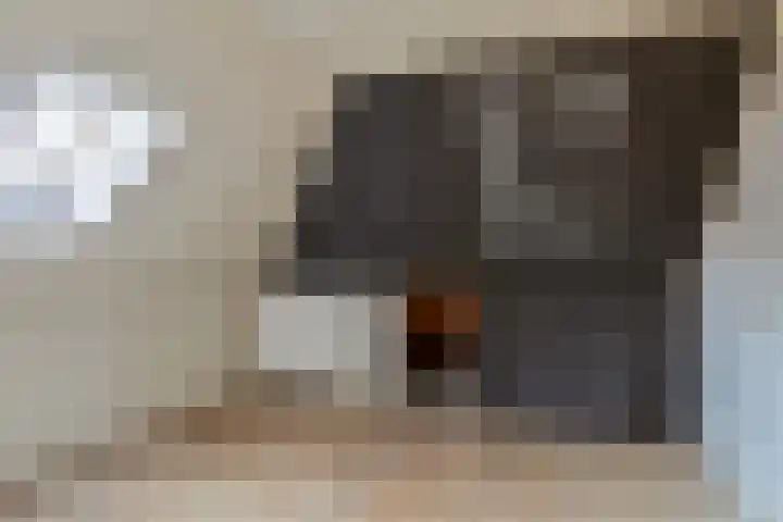 Asterstraat 8 Oss thumbnail 23