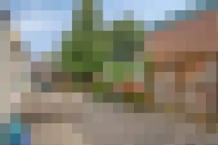 Asterstraat 8 Oss thumbnail 25