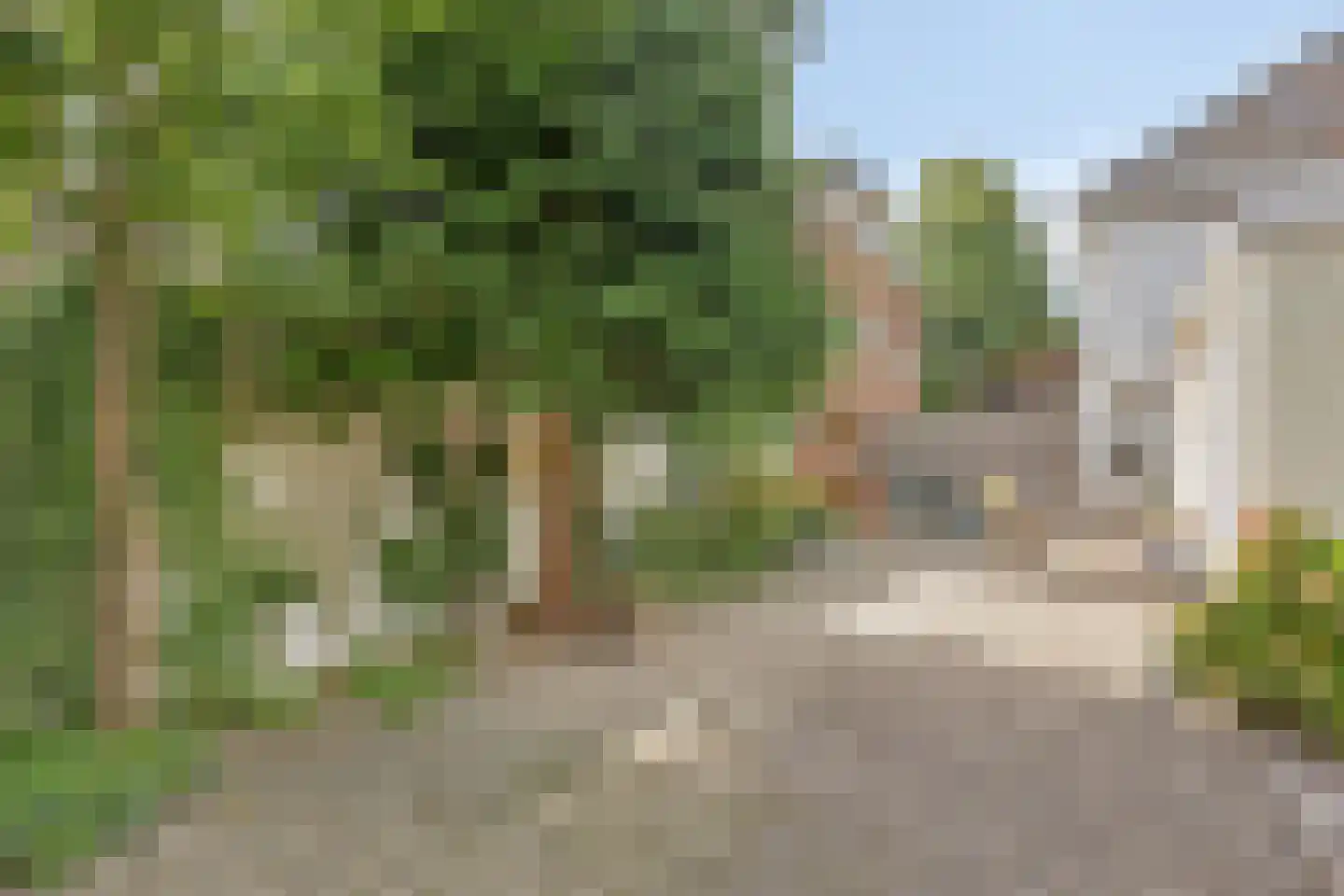 Asterstraat 8 Oss thumbnail 29